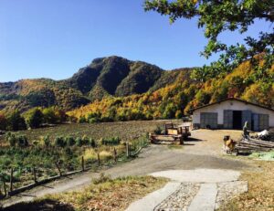 Un convegno in cammino per pensare al futuro della val Borbera