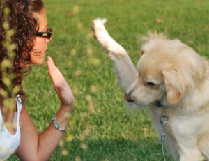 Code in festa, due giorni al parco Acos con gli amici a 4 zampe