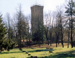 Al parco Castello quaranta alberi da abbattere