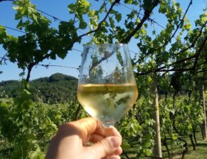 Preparate i calici, “Andar per Gavi” vi aspetta