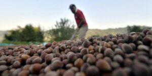 Pernigotti, “crisi nata anche a causa delle nocciole turche”