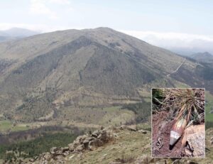 Ordigno inesploso ritrovato sulle pendici del monte Poggio
