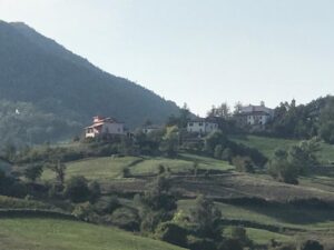 Cercatrice di funghi caduta in un burrone