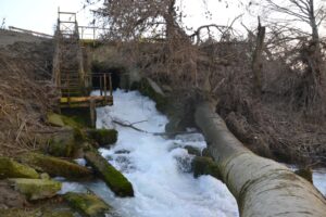 Pfas: il Piemonte ora fissa i limiti con una legge