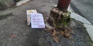 Novi, regalo di Natale anche per il “maleducato del quartiere”