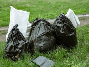 Basaluzzo, abbandonano rifiuti in strada: multati in due