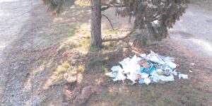 Abbandonano rifiuti a Basaluzzo, multe per 1.200 euro