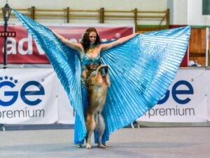 Expo canina, quattro zampe protagonisti anche con la dog dance
