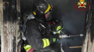 L’incendio dopo il tentativo di eliminare nido di calabroni. I rilievi di Arpa