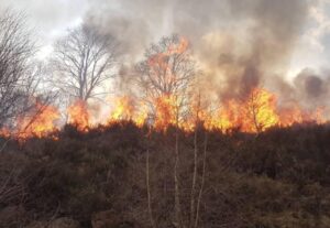 Incendi boschivi: dopo la condanna a 7 anni, ora il pastore di Grondona è assolto