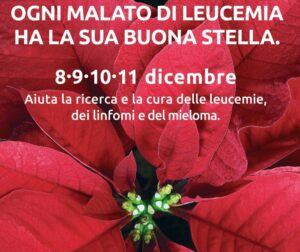 Tornano ad Alessandria le stelle di Natale Ail