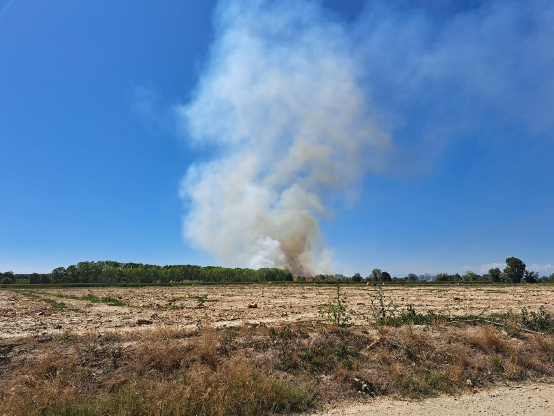 Incendio a Cantalupo, impegnati vigili del fuoco e volontari