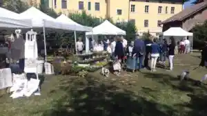 mntsyncthing-sharedwwwilpiccolodialessandriawp-contentuploadssites22023056788587ac620dc759570c65463920882.jpg