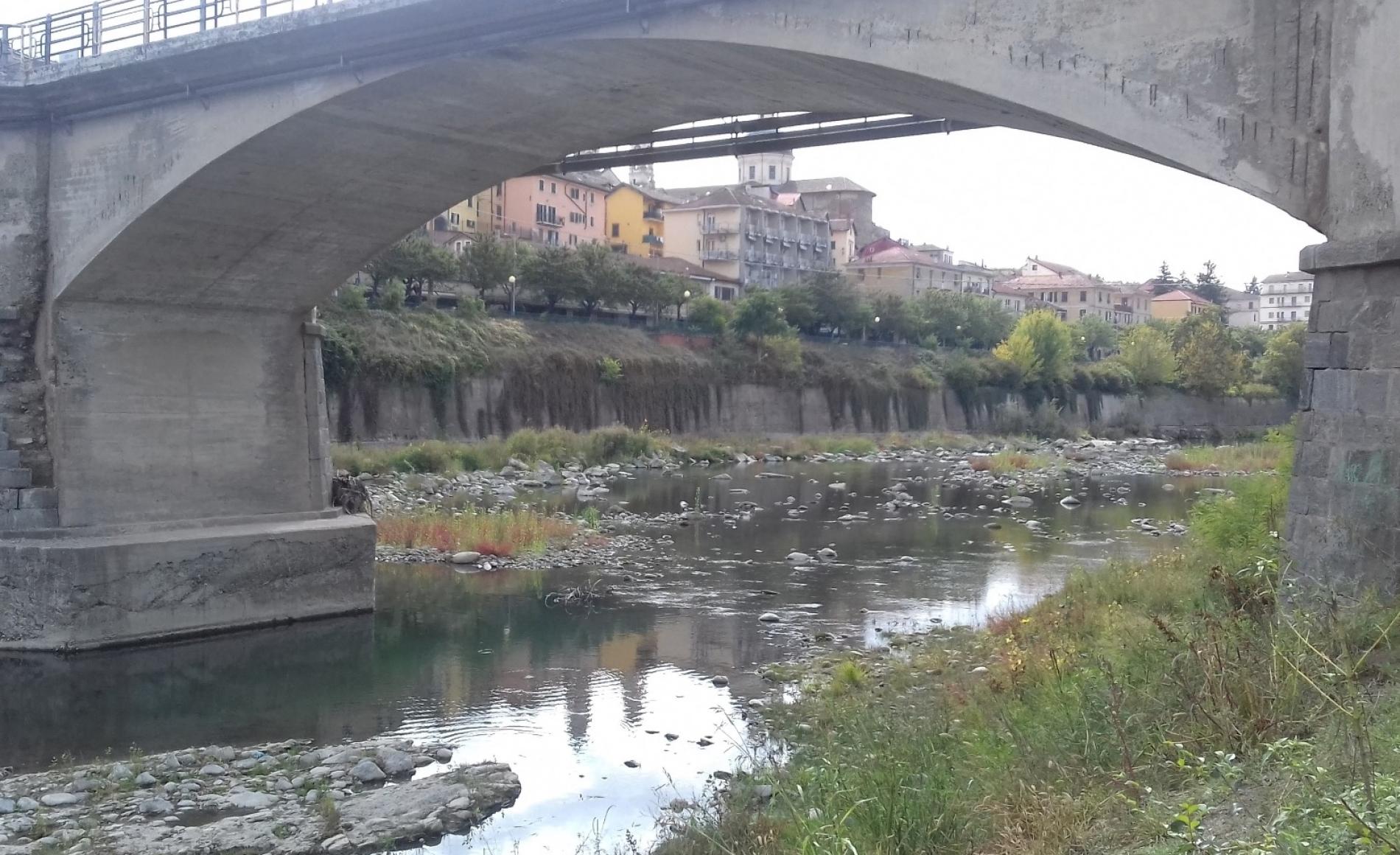 Ritrovato un lupo morto a Castelletto: è il terzo caso in una settimana