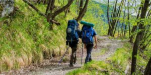 Peste suina, appello di attività e comitati: «Riaprite al trekking»