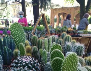 Fiorissima, due giorni tra piante e fiori al Pertini