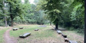 Parco Castello, mille firme per chiedere di modificare il progetto