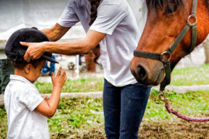 Novi, l’equitazione torna all’ippodromo con un corso per bambini