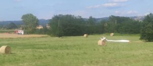 Alianti precipitati, la Sicurezza di Volo pronta ad aprire l’inchiesta
