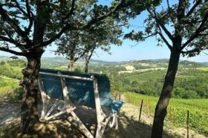 Gavi, sulle alture di Piona si inaugura la Big Bench numero 306