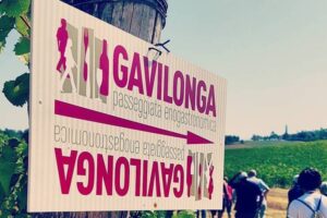 Gavilonga, a passeggio per scoprire vino e prodotti tipici