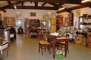 Giornata dei piccoli musei, a Novi apre il museo dell’apicoltura
