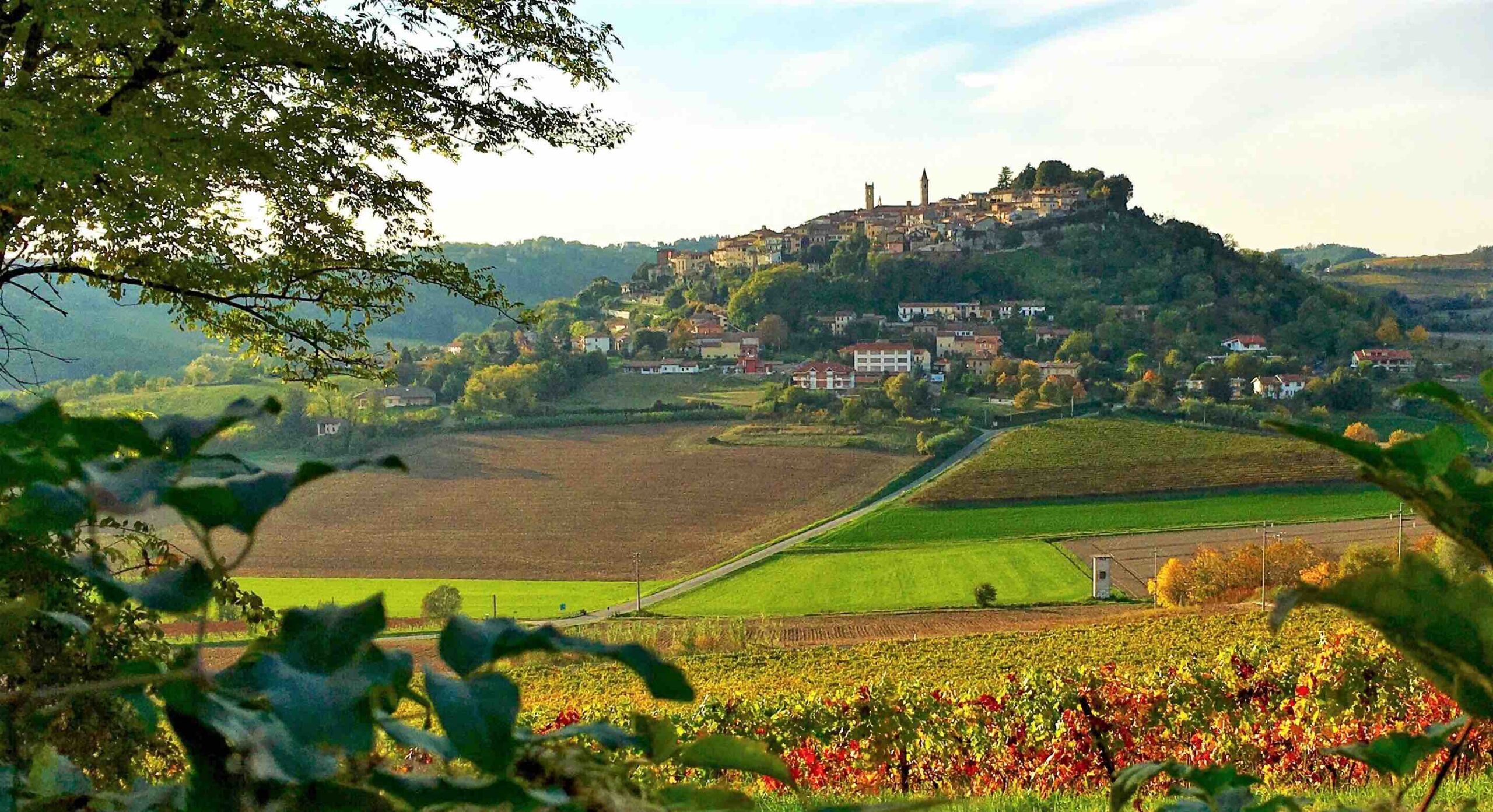 Vendemmia in Arte, zucca e lirica: le iniziative in provincia