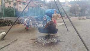 Expo Valle Stura: treno storico e castagnata