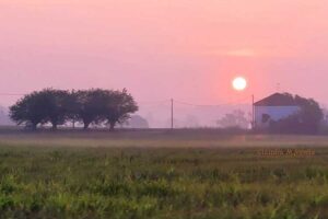 Agricoltura e paesaggio nel Quaderno Isral: la presentazione