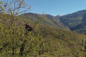 Appennino Futuro Remoto, il festival chiude con il film “Innesti”