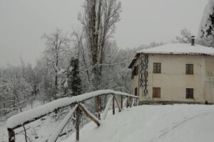 Stazzano, rogo in agriturismo: «Più forti delle fiamme, riapriremo»