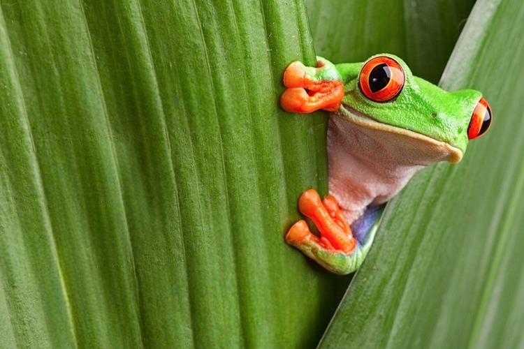 Incontro con gli dei: natura e fotografia in mostra all’Amaldi