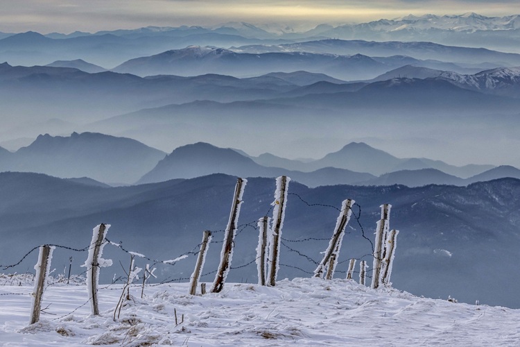 Urban Nature, Wwf nelle piazze per distribuire piantine di erica