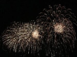 Novi Ligure: «Fuochi d’artificio, scelta irresponsabile»