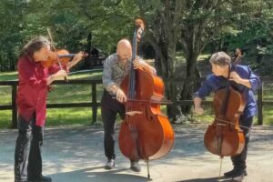 Tassarolo e Arquata, un doppio viaggio musicale con gli archi