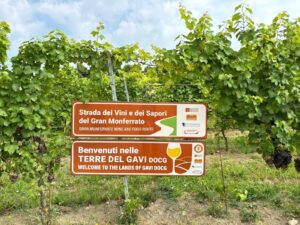 Strada dei Vini del Gran Monferrato: c’è la cartellonistica