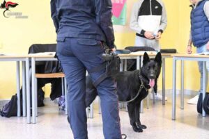 Novi, controlli antidroga a scuola: segnalato studente dell’Amaldi
