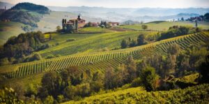 Un viaggio tra le vigne: Alice e la barca tra i filari
