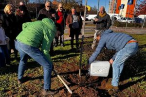 Giornata dell’albero, il M5s organizza una piantumazione a Novi