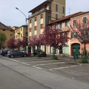 Le danze popolari protagoniste a Cabella Ligure