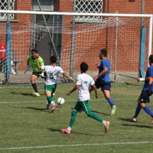Alessandria, tutto il calcio della provincia in tempo reale