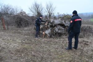 Blitz dei Carabinieri nei boschi del Novese: smantellate basi dello spaccio tra Novi e Pozzolo