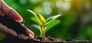 Spighe Verdi 2026, aperto il bando: opportunità per i Comuni dell’Alessandrino