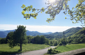 Grondona: camminata con il Fai fino a Roccaforte Ligure