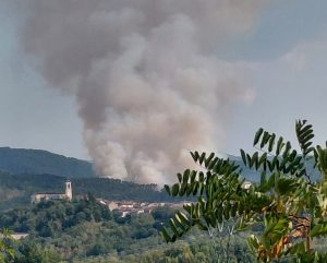 Mornese, la pineta in fiamme: diverse squadre di vigili del fuoco al lavoro